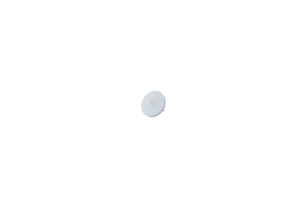 White Head Pin (New)